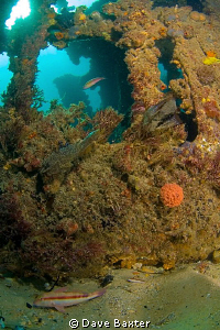 again the north mole wreck by Dave Baxter 